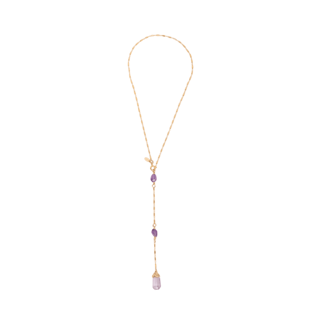 Gema Pendulum Necklace #1 - Amethyst, Ametrine & 14K Gold-Filled Necklaces TARBAY