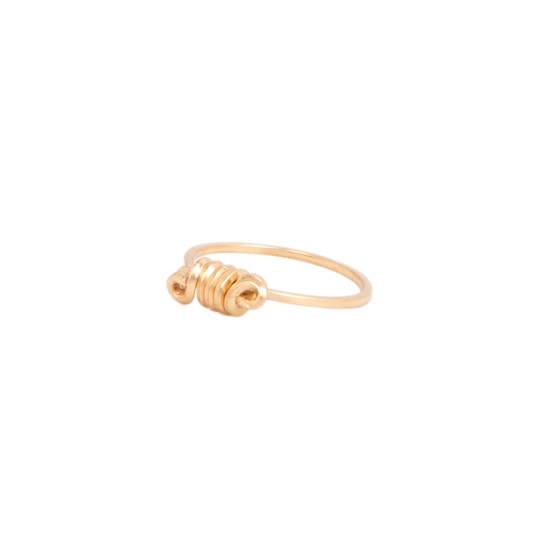 Stemma Ring #2 (12mm) - 14K Gold-Filled Rings TARBAY
