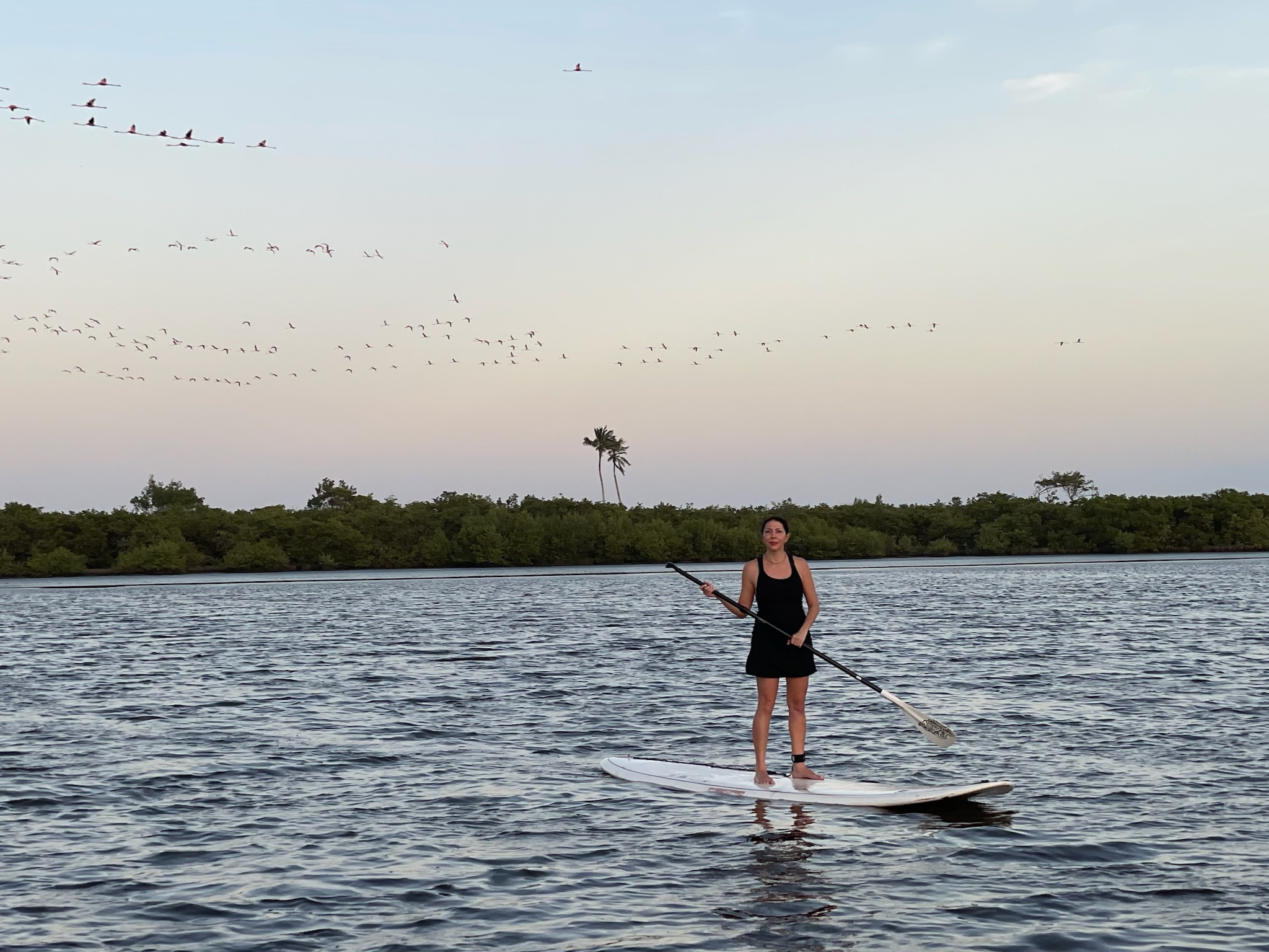 Guía Turística TARBAY - Paseo por la Laguna Blanca