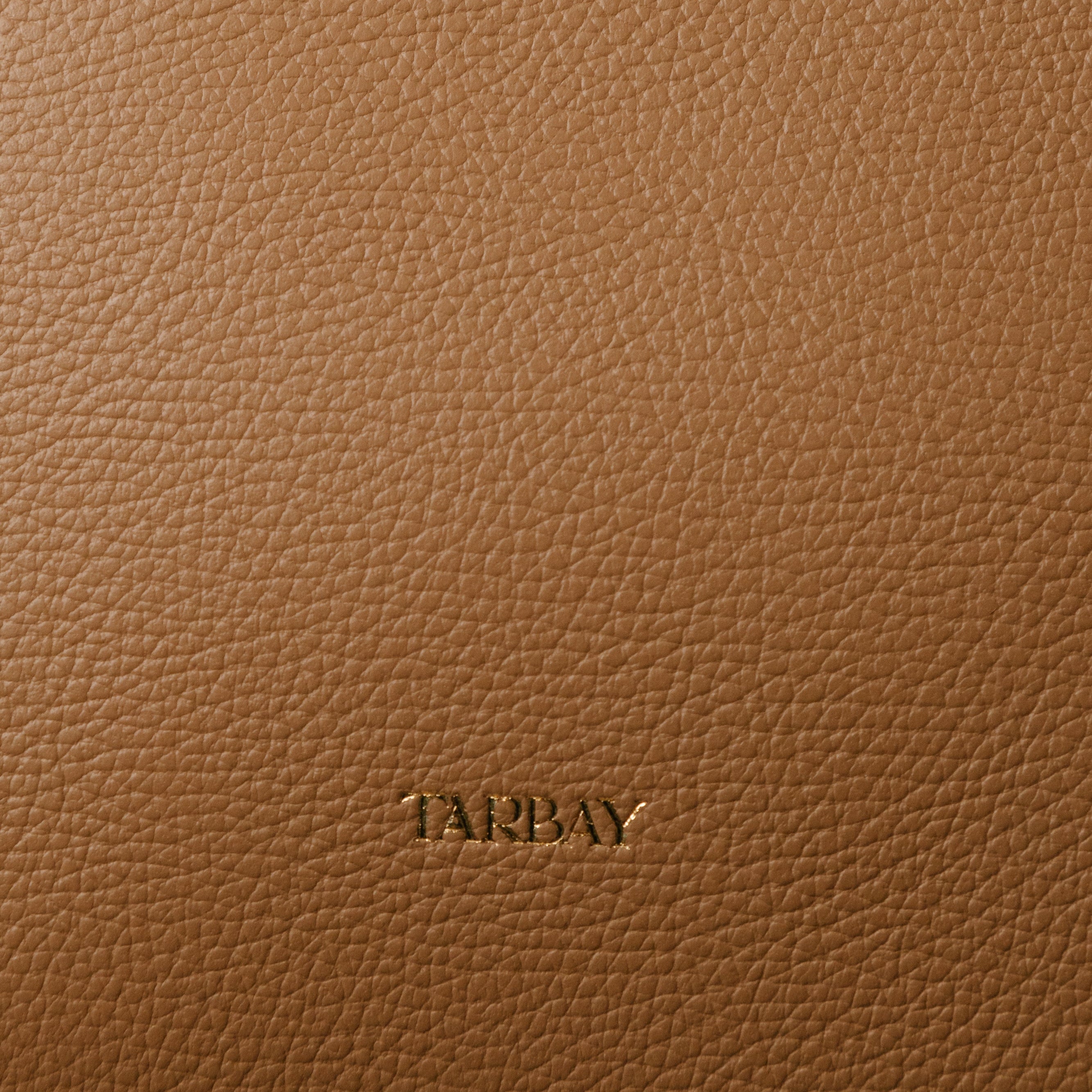 Serafina Tote Bag - Tan