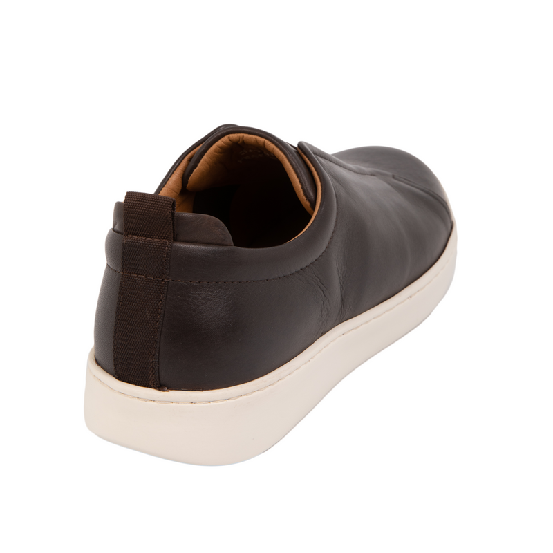 Paul Sneakers - Coffee Sneakers TARBAY   