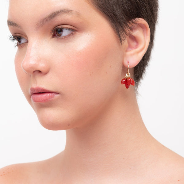 Fabi Dangle Earrings - Carnelian Earrings TARBAY   